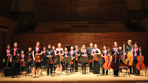 Jugendkammerorchester Violinissimo