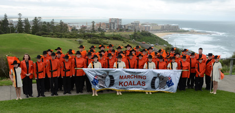 Marching Koalas